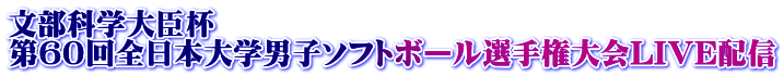 文部科学大臣杯 第60回全日本大学男子ソフトボール選手権大会LIVE配信